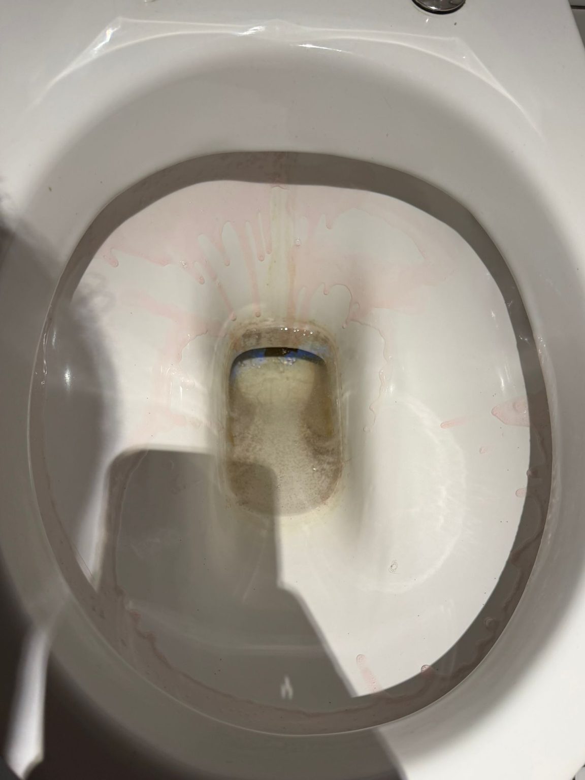 WC-Becken vor der Reinigung, mit Ablagerungen im Spülbereich und am Ablauf